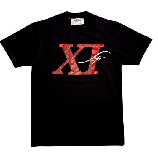 SOIN XI Anniversary